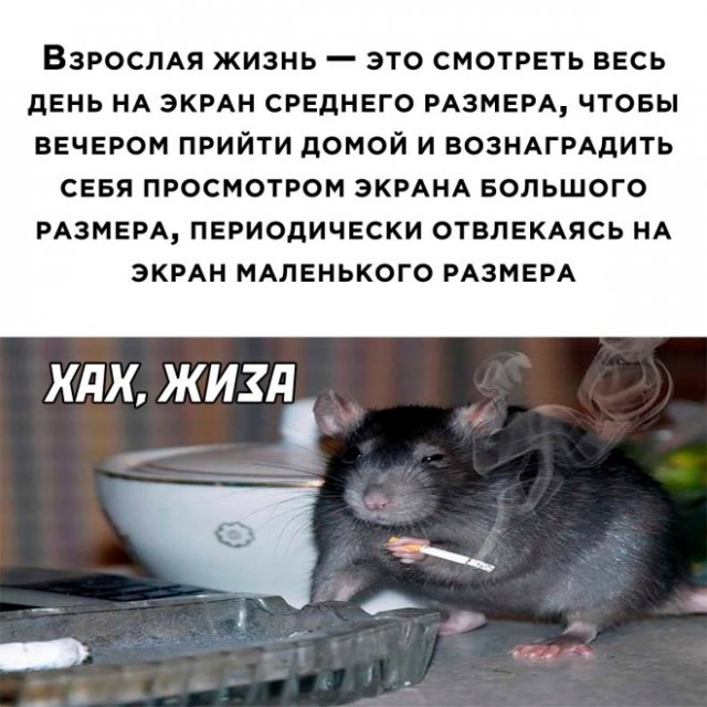Веселые картинки в маленькую пятницу (09.04)