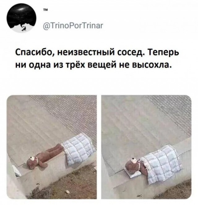 Веселые картинки в пятницу (11.07)
