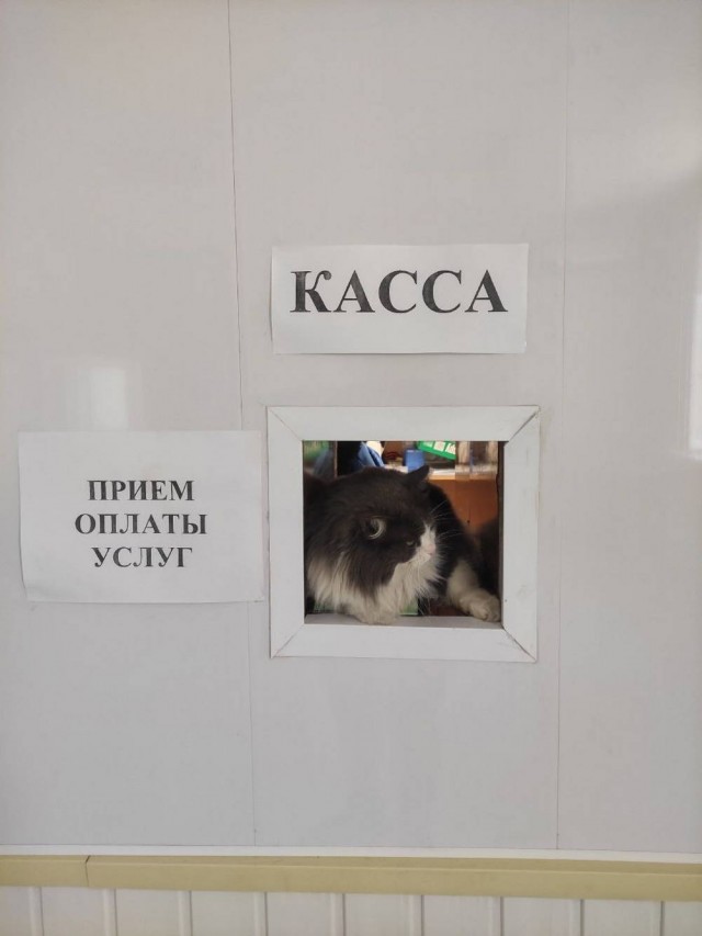 Чуть-чуть