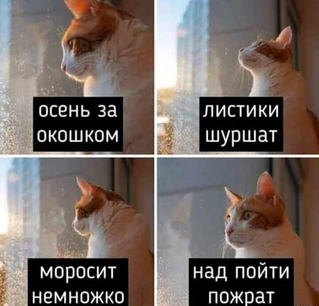 Фото из анналов №2