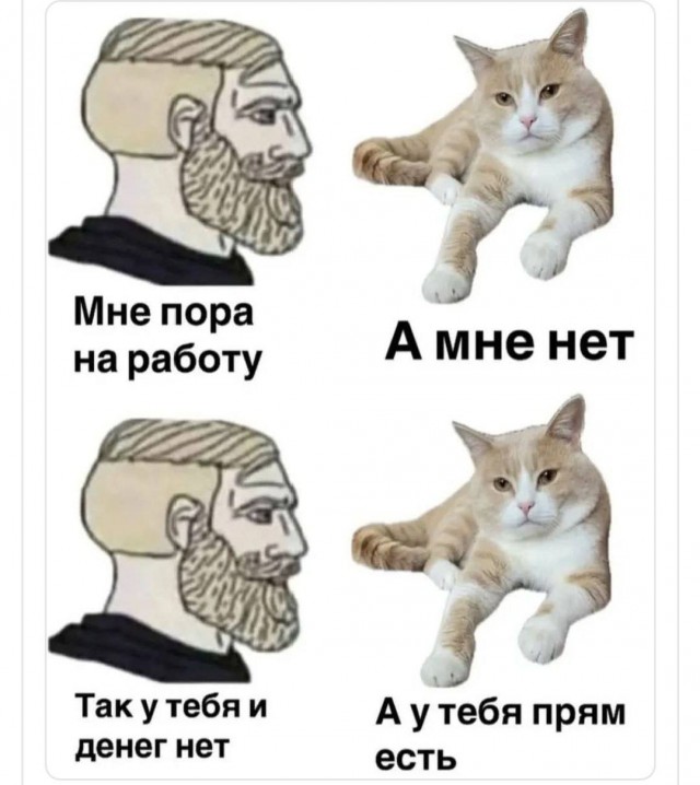 Картинки для деградации 88 (разной степени свежести)