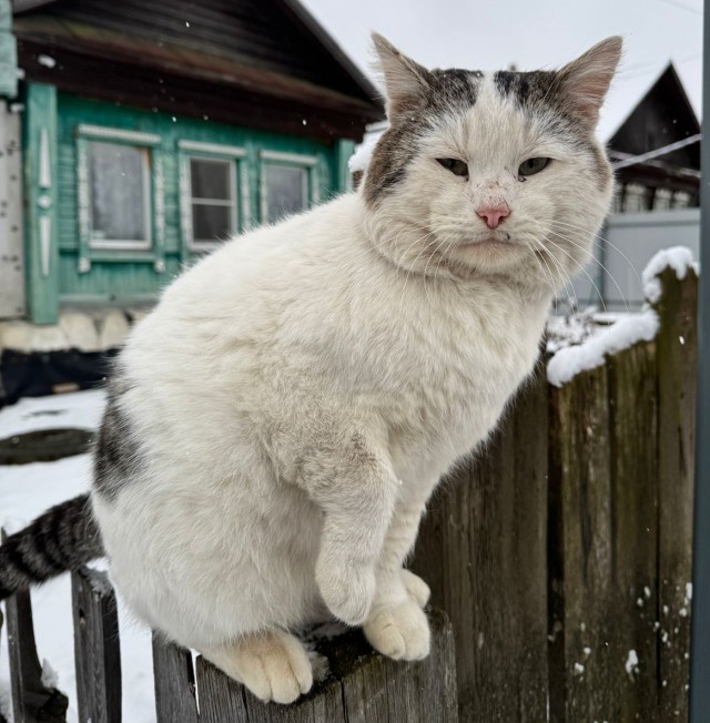 Кажется, что он нашёл внутренний покой и мысленно улетел в Нирвану