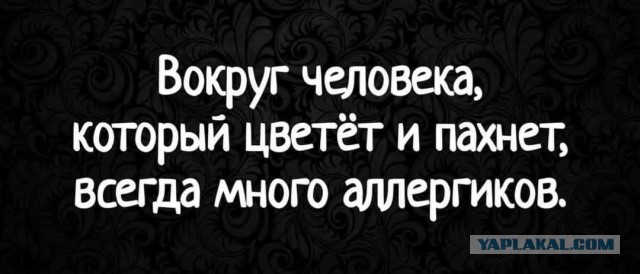 Веселые картинки в понедельник (15.12)
