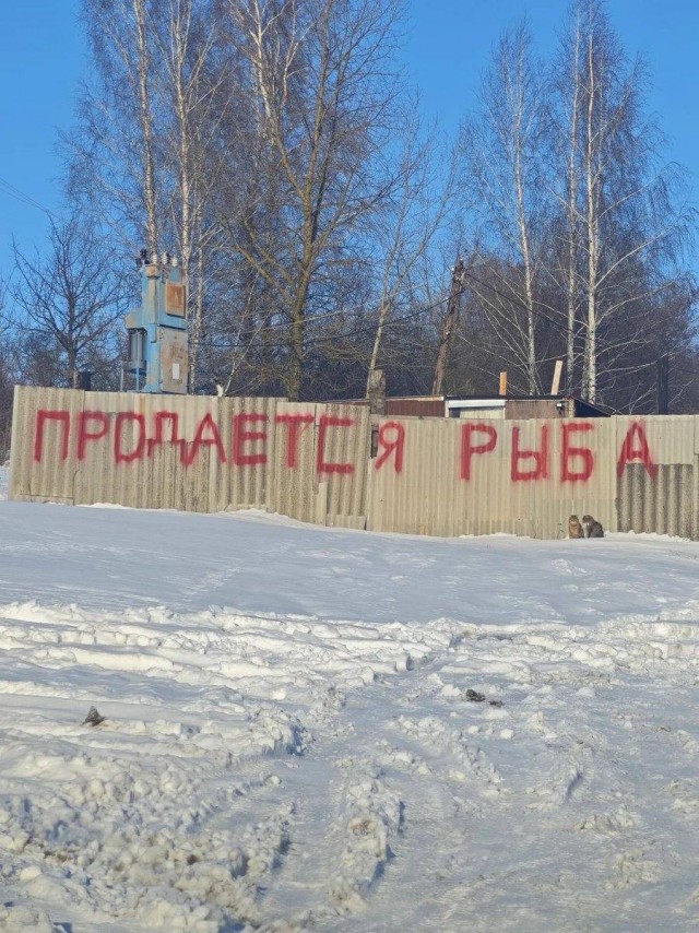 Наконец-то рыбов продают, а не просто показывают