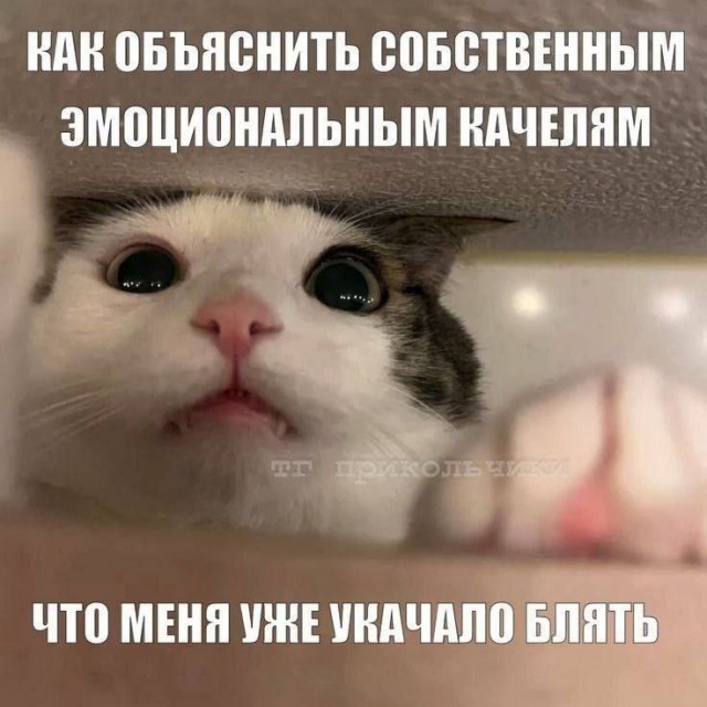 Субботние картинки
