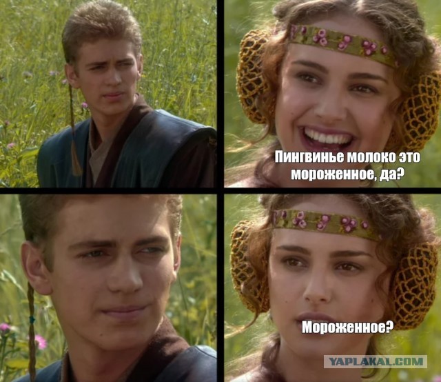Латте на пингвиньем молоке