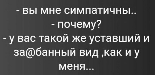 Картинки для деградации 260 (разной степени свежести)