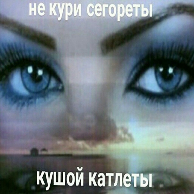 Картинки для деградации 288 (разной степени свежести)