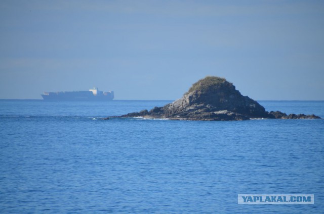 В Мексику,на море.
