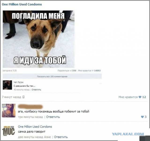 Смешные комментарии из социальных сетей #2