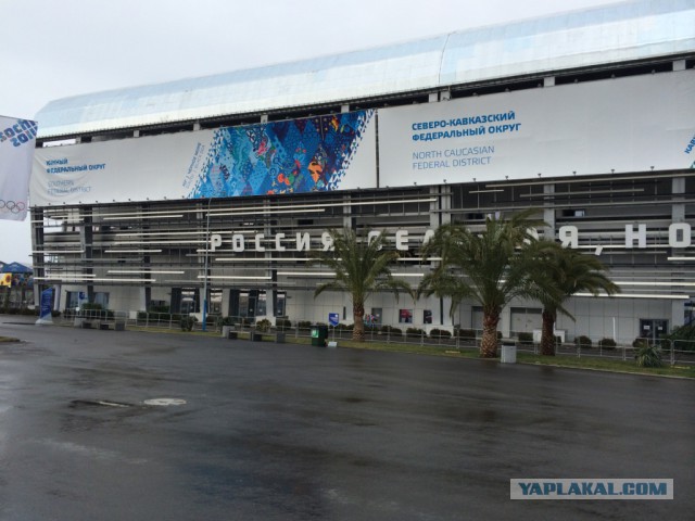 Два дня на Олимпиаде