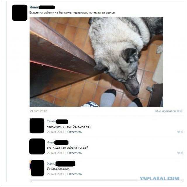 И снова смешные комментарии
