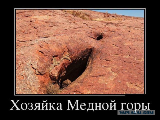 Подборка прикольных фото на начало мая