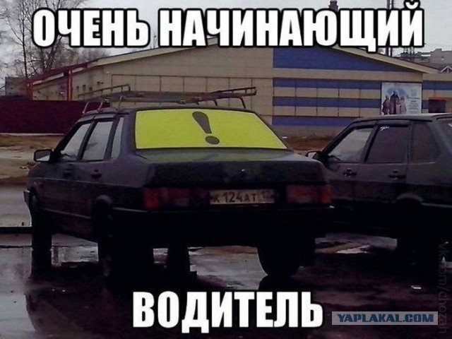Смешные картинки с подписями