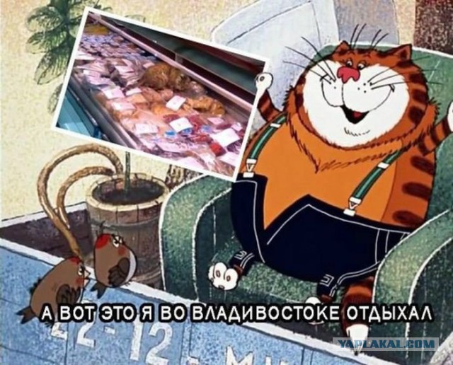 Свежая подборка из тырнетов