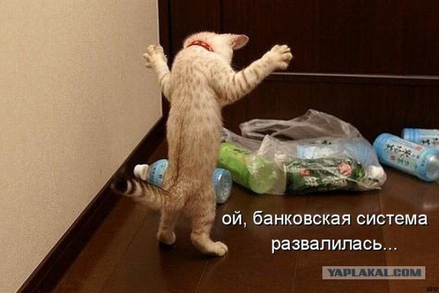 Картинки из сети на понедельник