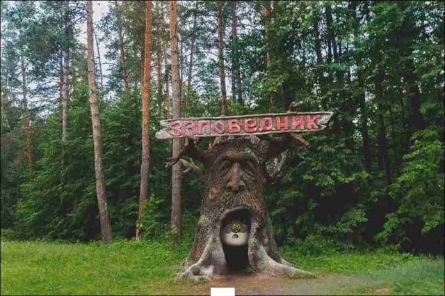 Забавные коллажи
