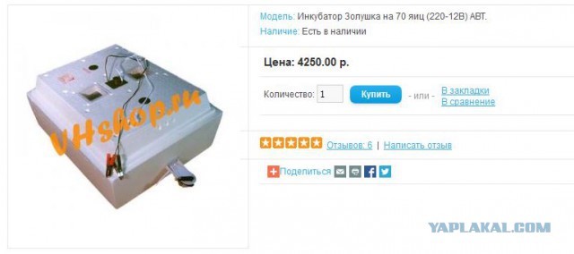 Будущее глазами предков