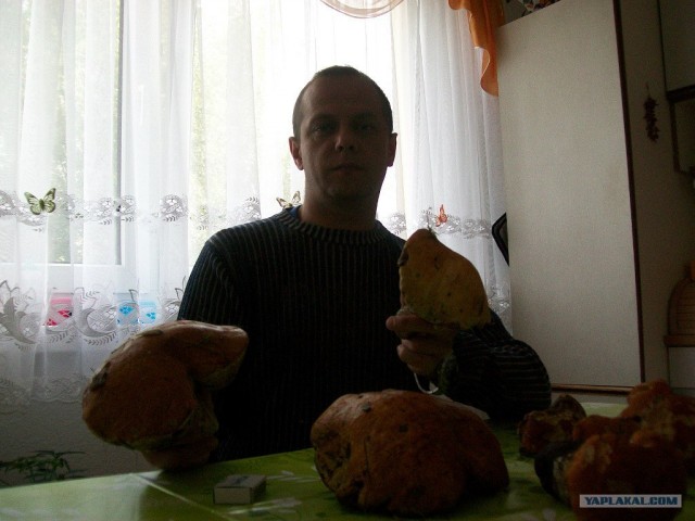 Немного летнего позитива