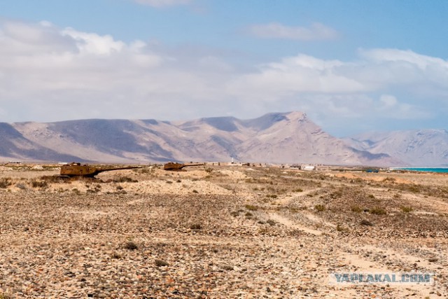 Танки поглощенные природой. Всё проходит...