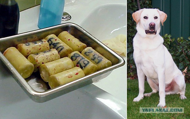 Контрабанда. Что-то пошло не так.