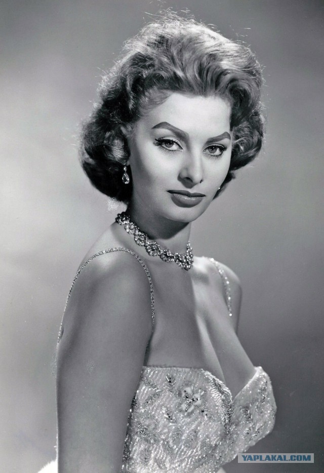 Sophia Loren