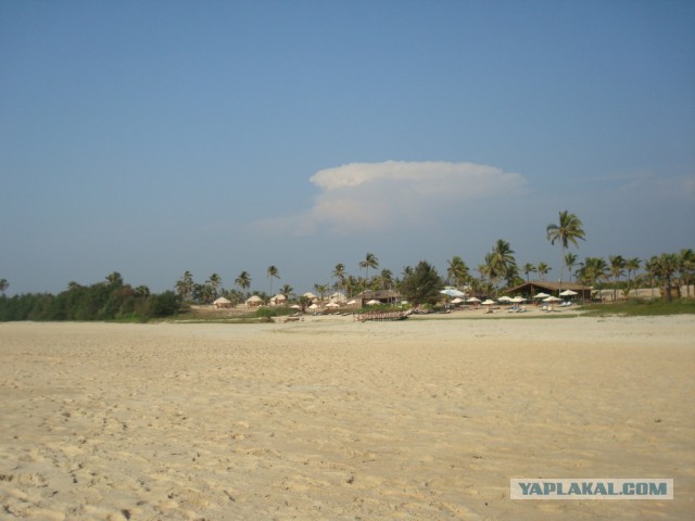 Такое увидишь только в Индии