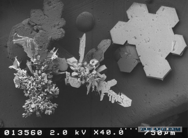 Мир в миллиметре