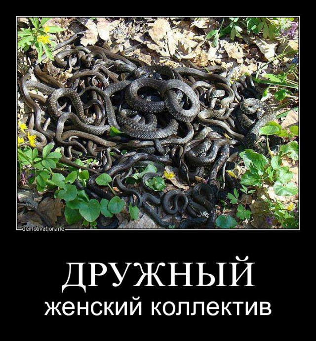 В Минфине предсказали скорое исчезновение профессии бухгалтера