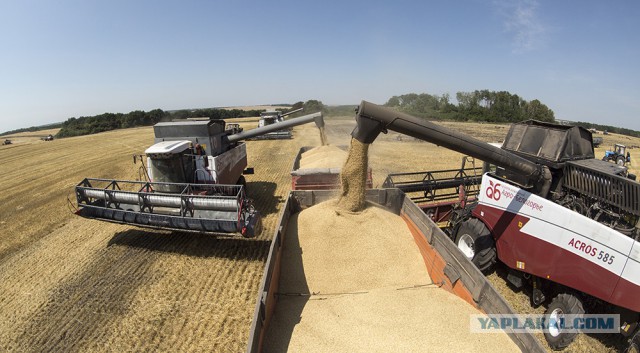 «Зерновой» прорыв России не даёт покоя западным конкурентам