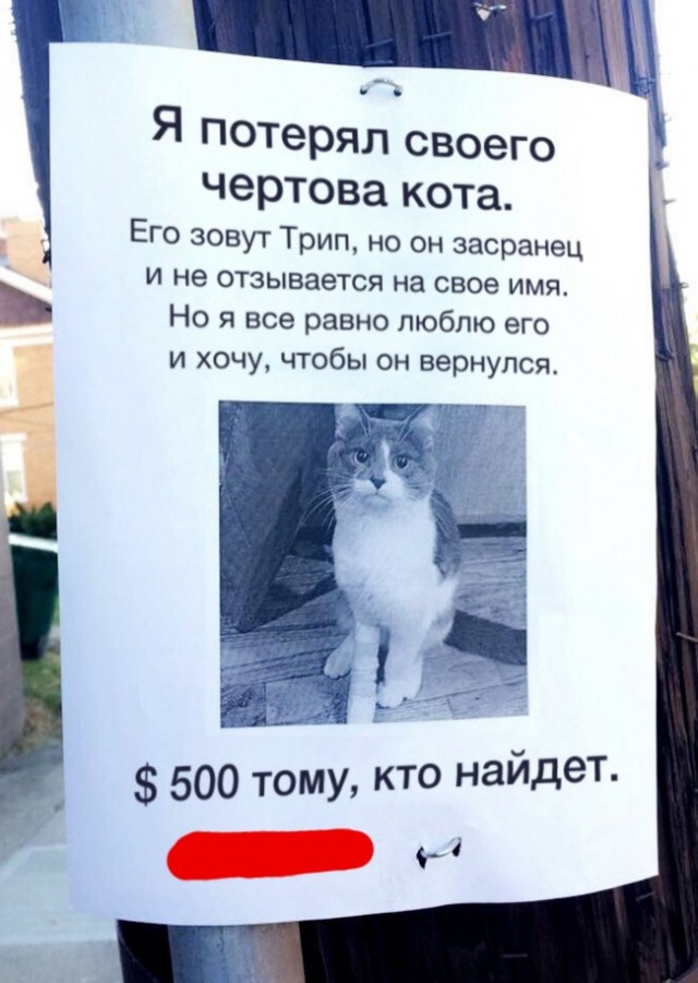 30 объявлений, мимо которых вы просто не сможете пройти