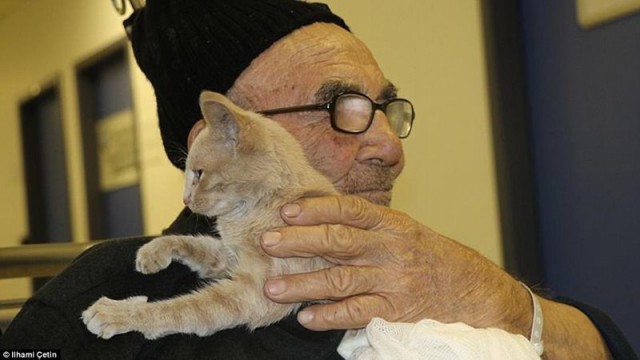 Этот котёнок — всё, что осталось у 83-летнего деда, дом которого сгорел дотла