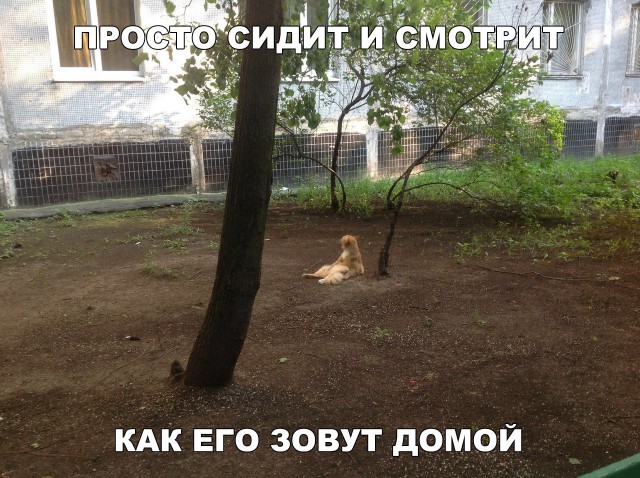 Прикольные картинки абавсём