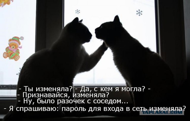 Что этот мужик делает в чужой квартире в 6 утра?