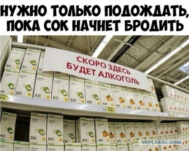 Немного картинок в это воскресенье