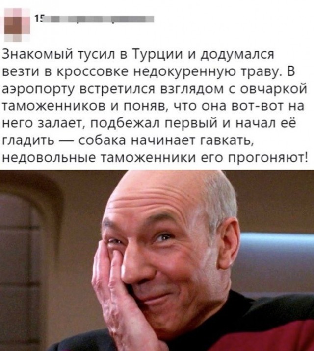 Стандартный адекватный юмор в картинках для всех