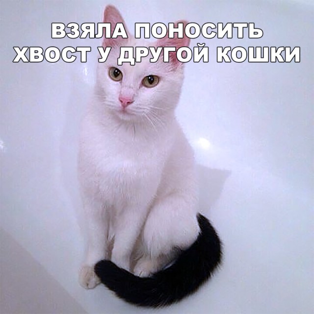 Немного милоты