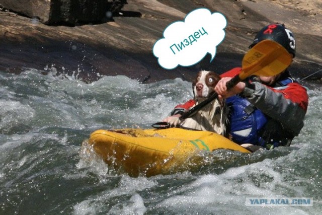 А в глазах восторг!