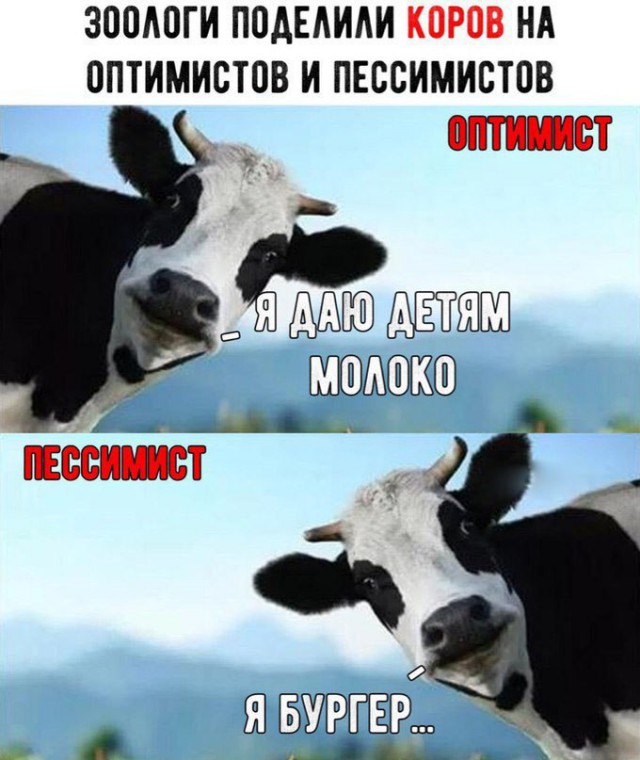 От улыбки хмурый день светлей