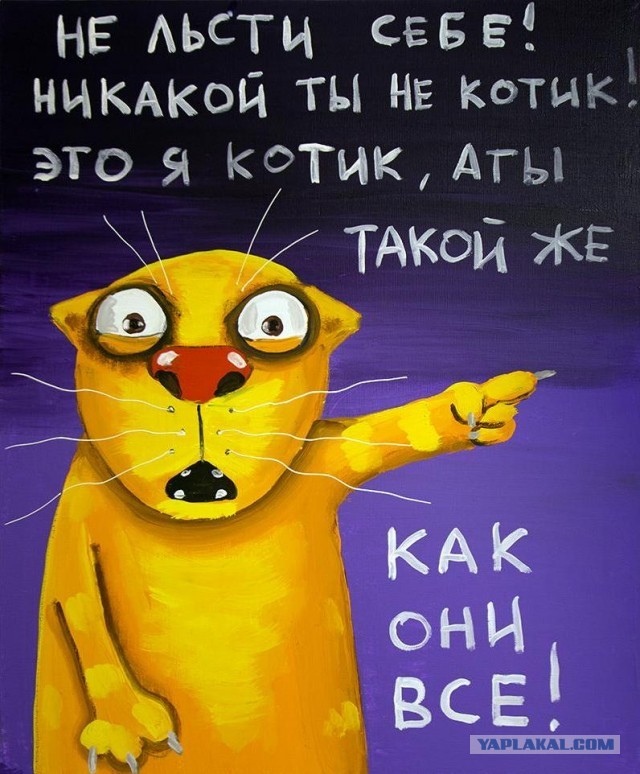 Бомжекошка