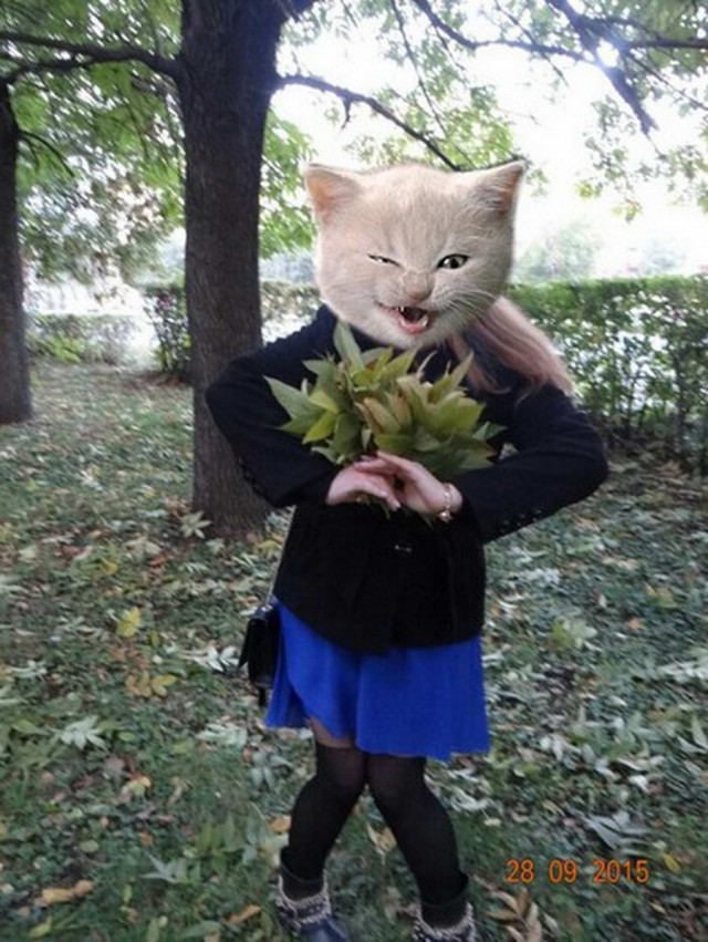 Это вам не инстаграмм (декабрь)