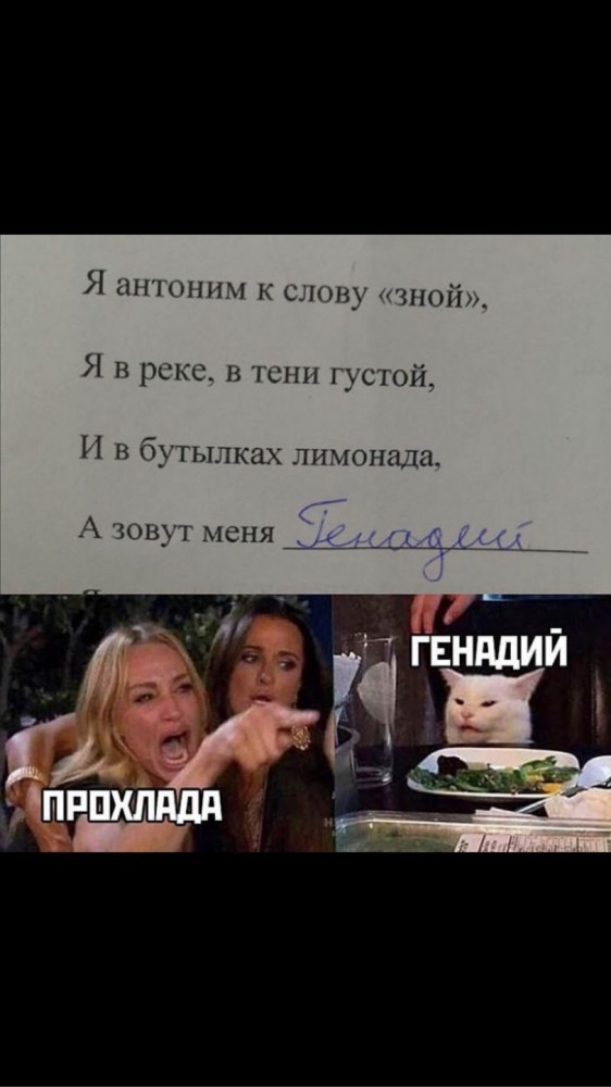 Котовторнику посвящается