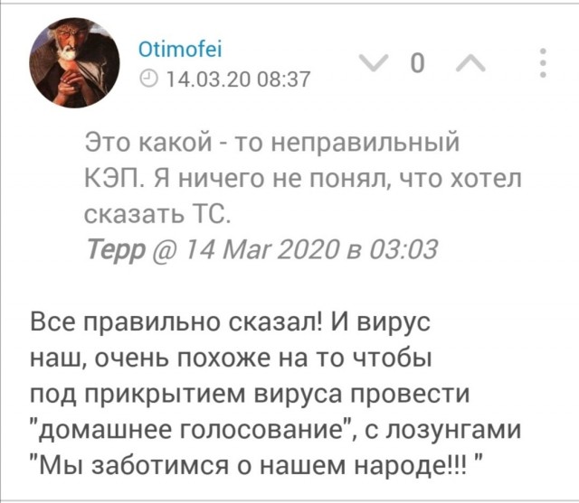 Удаленное голосование по конституции