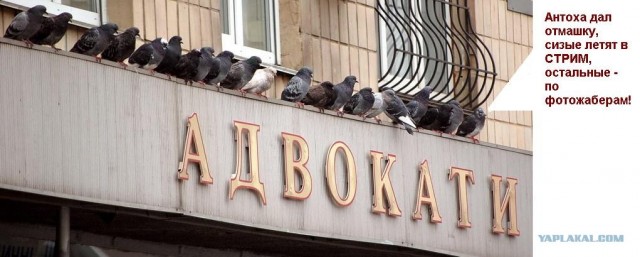 Фотожаба: Звонок в Стрим! Антон Уральский