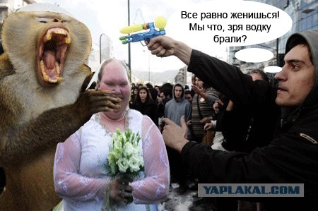 Фотожаба: Не совать!
