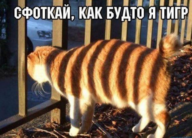 Бредзона 17.07.2020
