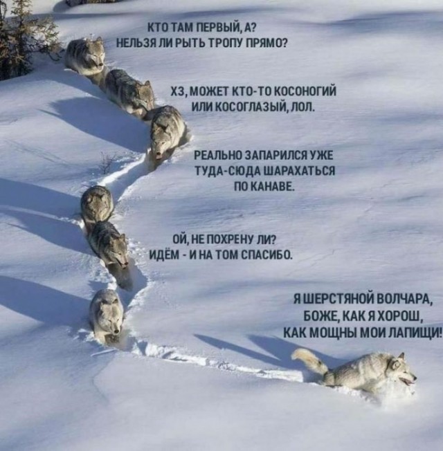 Всё не зря