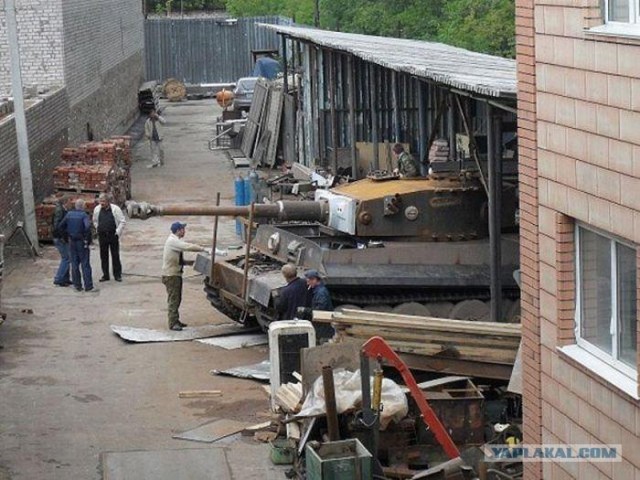 Тигра  заказывали? Получите,  распишитесь.