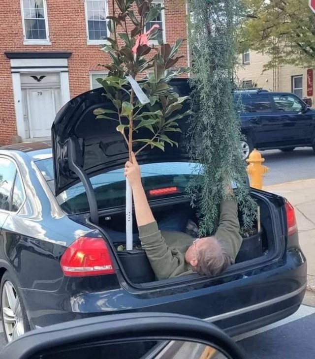 Калейдоскоп картинок