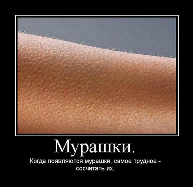 Воскресная лента анекдотов с матом и картинками